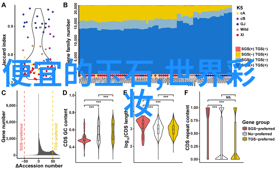 宝诗龙奇幻世界宝诗龙的神秘传说