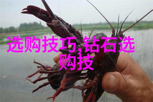 居家美学如何通过色彩搭配提升居住空间的吸引力