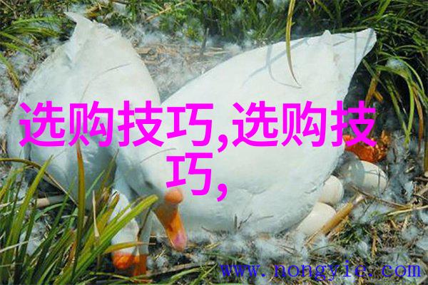 和田玉之谜是半宝石还是独树一帜