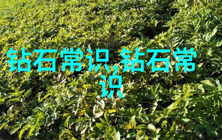 居家设计理念舒适个性化节能环保