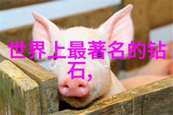 工程管理专业掌握项目从规划到完成的全程策略与实践