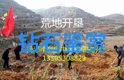 帝王绿-碧波荡漾帝王绿的传说与魅力