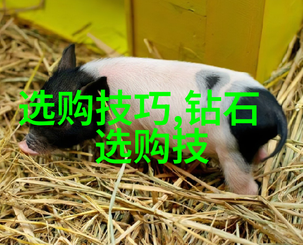 星海传说 - 星辰之光下的古老航线