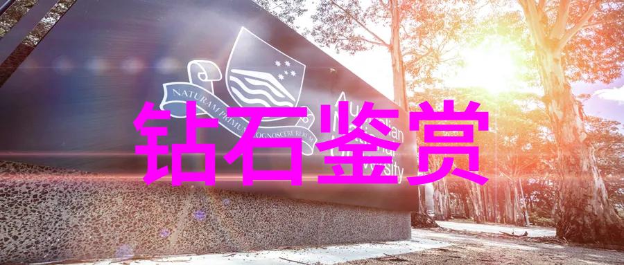 雷锋精神的传承与时代的挑战