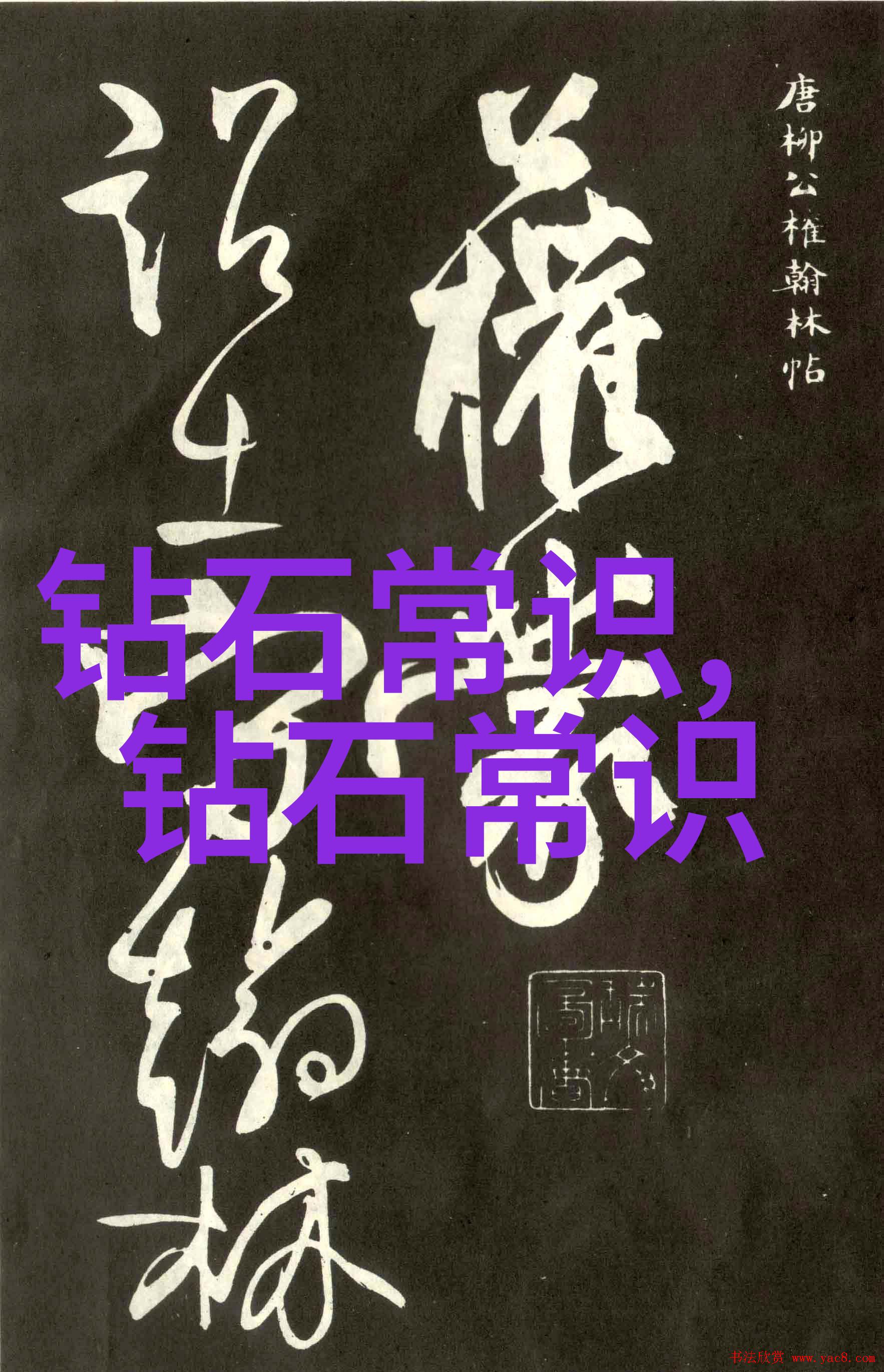 深入挖掘中华文化根源探索其在当代社会中的价值与意义