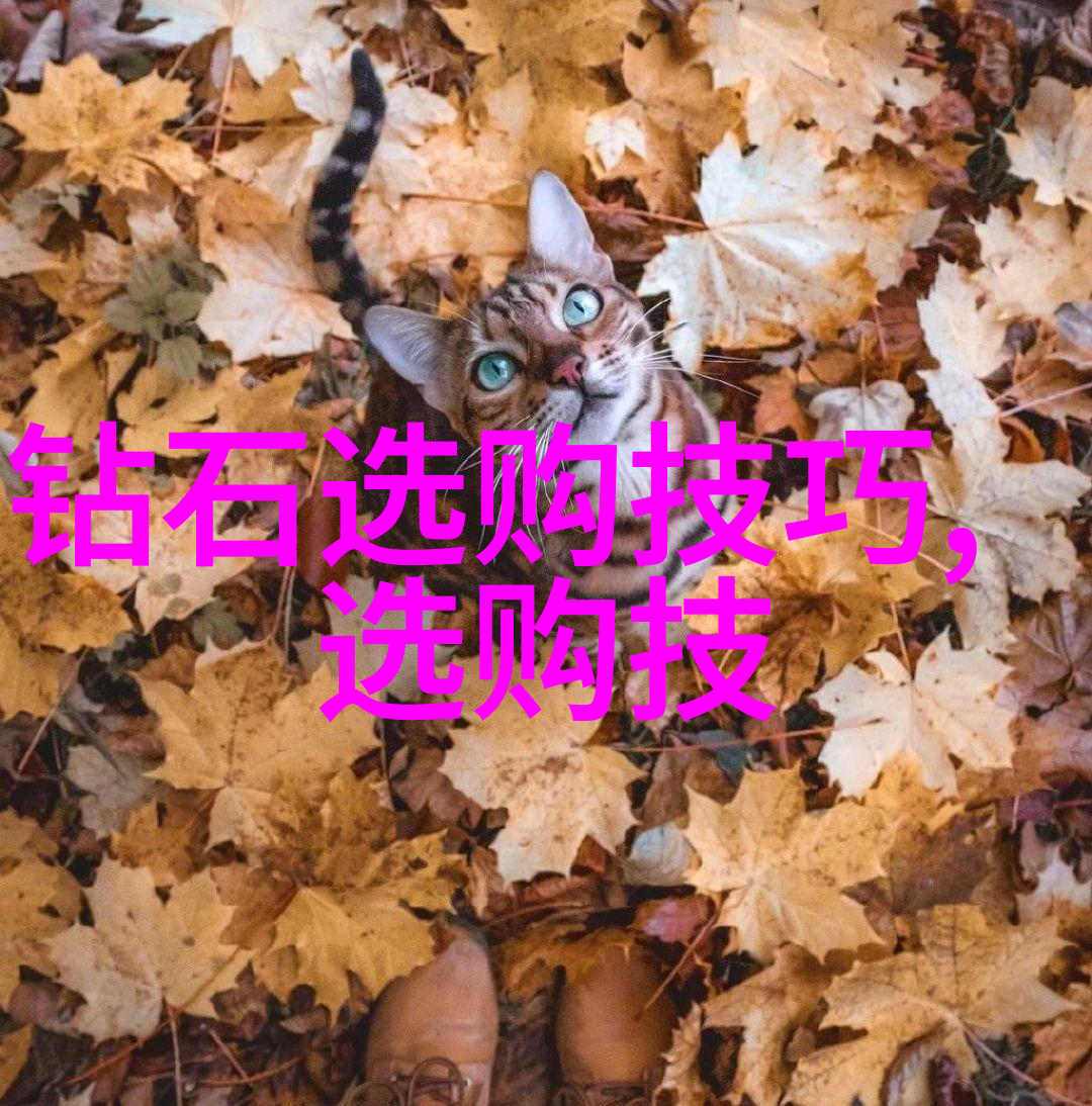 金属加工的精灵折弯机的奥秘与应用