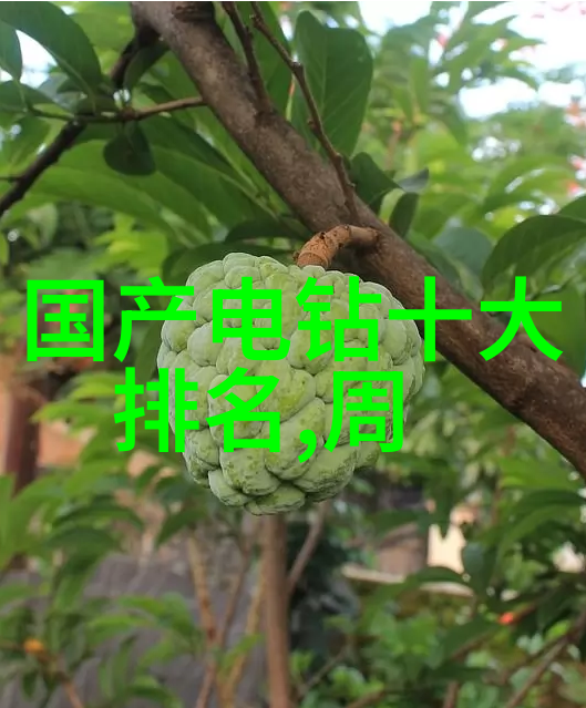 无限游戏封神之旅探索虚拟世界的神话征程