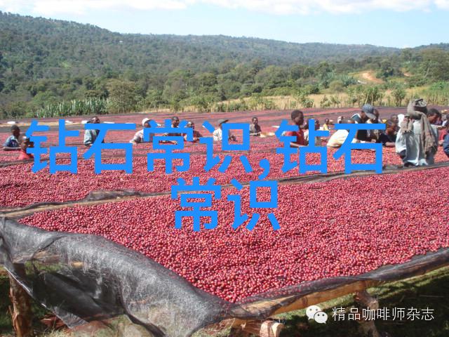 亨路达珠宝国外 -foreign gemstones of Henrillada