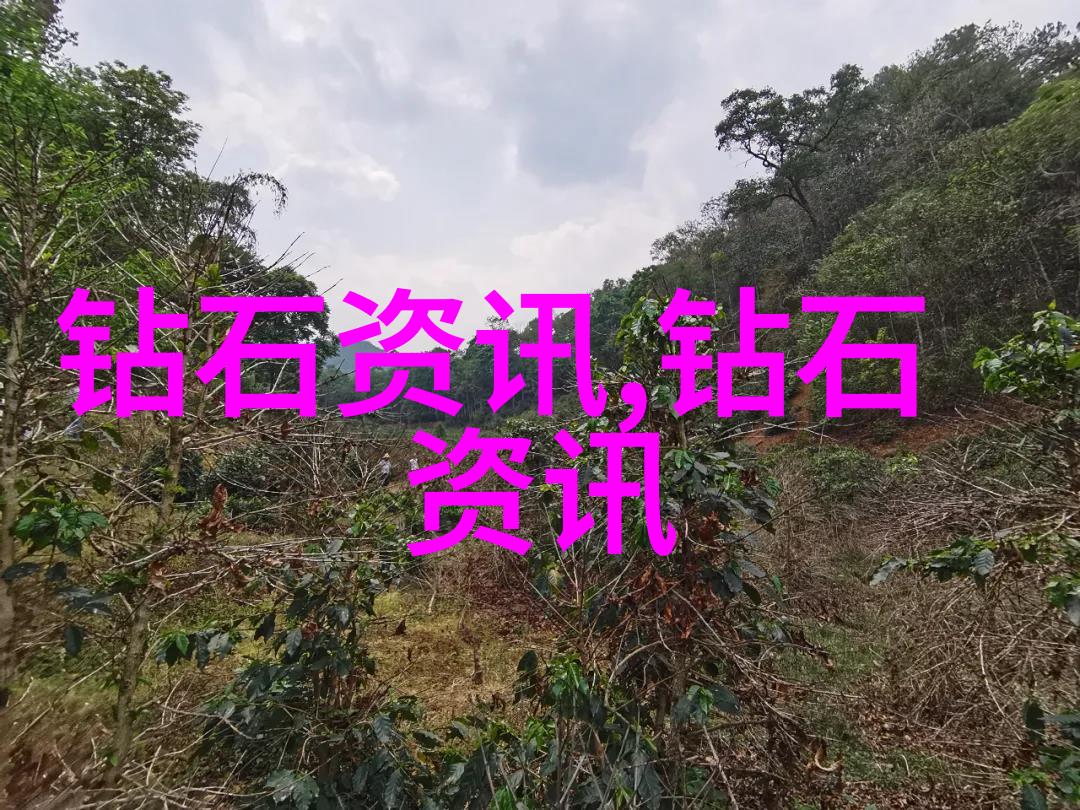 学霸背后的秘密揭开大学排行榜之谜