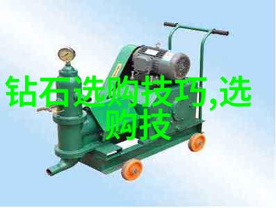 宠物美容师我的小动物超级模特儿训练记