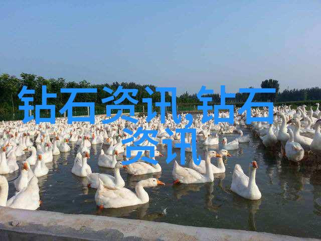 如何通过色泽来分辨玉石和翡翠手镯