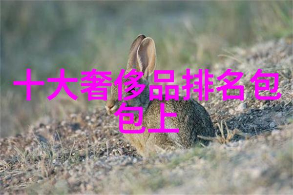 解锁商界秘密工商管理学深度揭秘背后隐藏着怎样的权力游戏