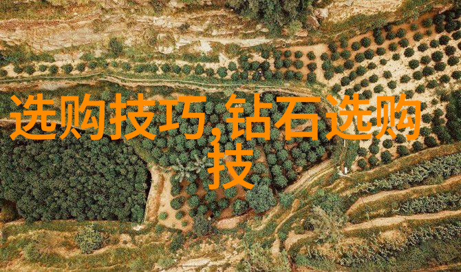 翡翠的璀璨天然之美值得追逐吗