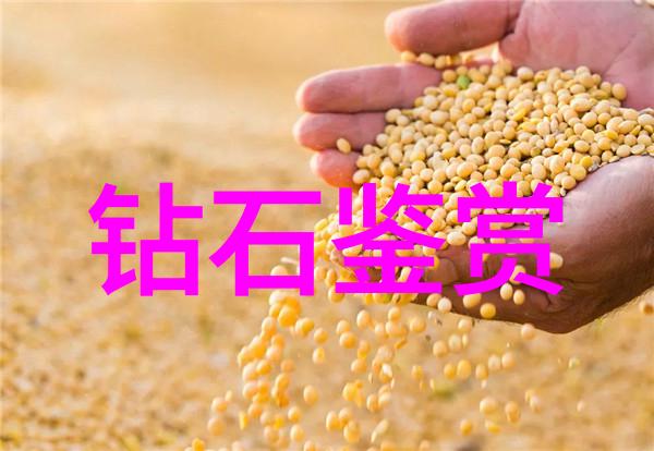 深夜星空下的温柔诱惑HDXX70与老熟女的秘密故事