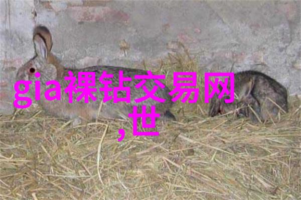 中国茶艺文化包含了哪些重要元素如品鉴泡制等还能谈谈这与禅宗佛教关系吗