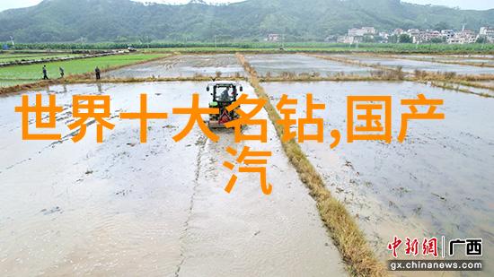 钻石的光芒探究其内部结构与外观特征的学术鉴赏