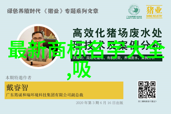 玉石保养-精致照护揭秘玉石的清洁与防护技巧