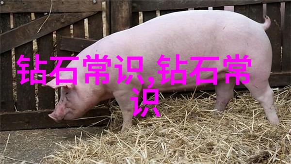 雨后小故事小溪的秘密