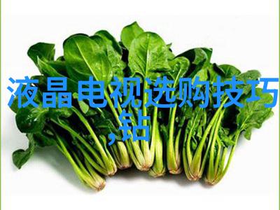 国家珠宝鉴定师考取之路专业知识与实践技能的双重修炼