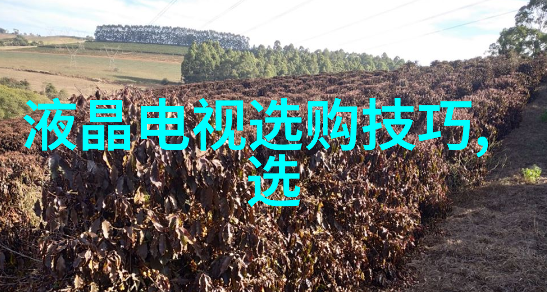 胡萝卜先生的长胡子再添新彩