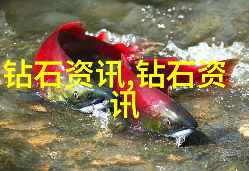 南越风情岭南文化的独特魅力