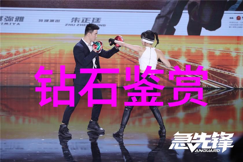 成都调查事务所-揭秘成都最专业的侦查服务追踪真相守护正义