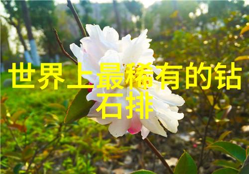 携手共赴人生长廊