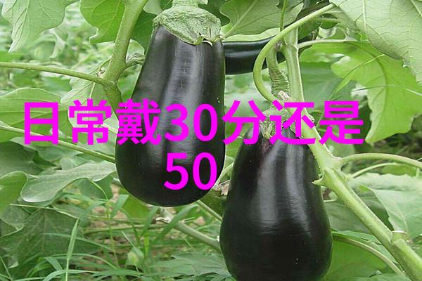 品味之分深入理解品鉴与鉴赏的差异