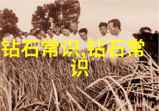 黑檀木雕塑