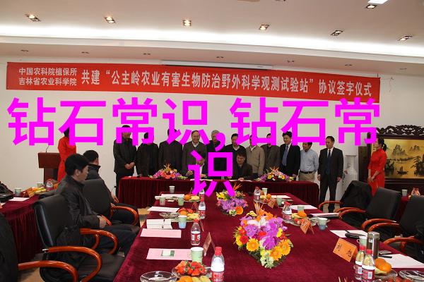 工艺工程师要下车间吗-探索工艺工程师的现场指挥从车间到生产线的智慧转换