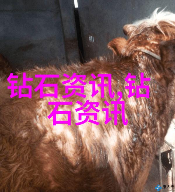 工程造价管理精细化实践与案例分析
