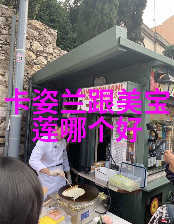 冷门宝石品种未被发现的光芒