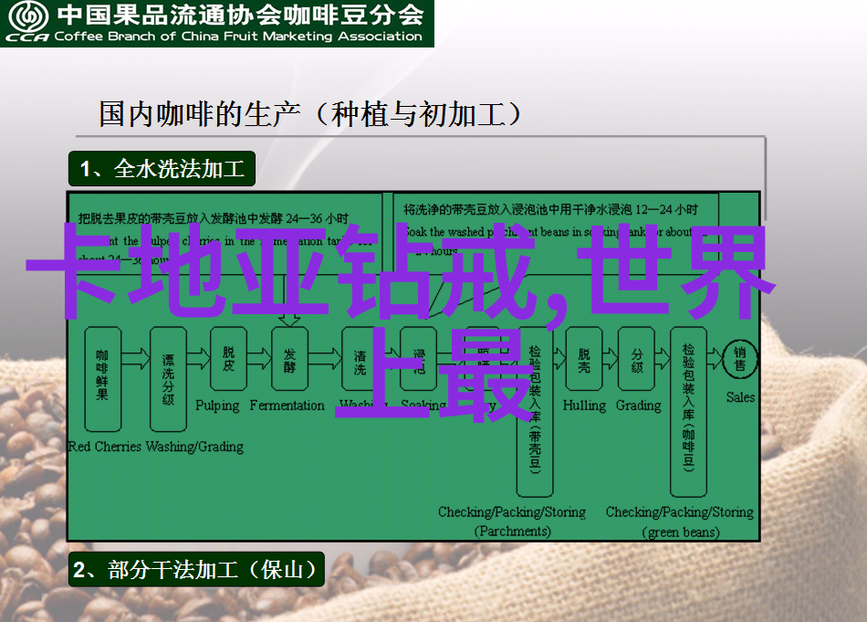 故事我和我的小伙伴们是如何在树林里发现了一条神秘的小径的
