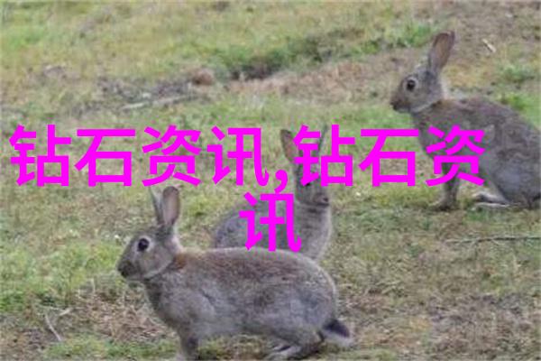 翡翠的五彩斑斓哪种颜色最受欢迎