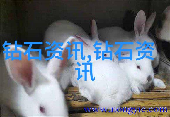 秘密珠宝匠上海的无声传奇