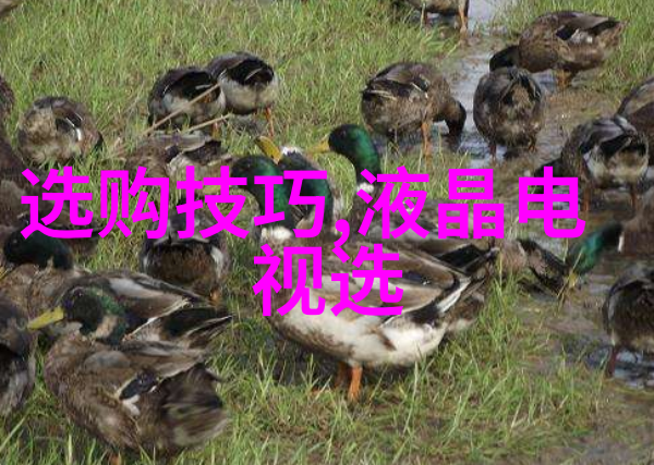 中国文化的内容及特点我国这门深邃而丰富的文化大课堂