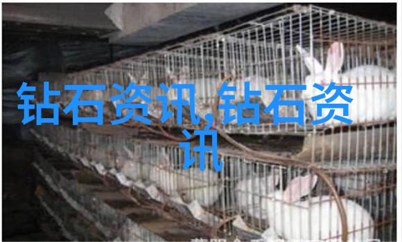 碧波荡漾中国传统文化的优美篇章