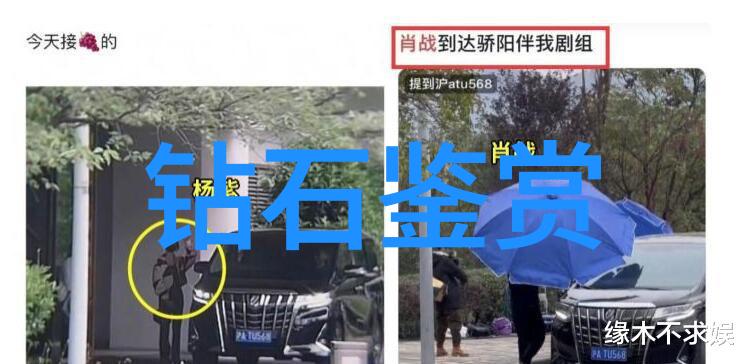织梦的手探秘中国古代刺绣艺术