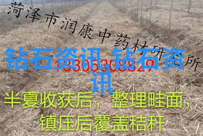 中国传统文化十大魅力我来告诉你这十个让人心动的美妙之处