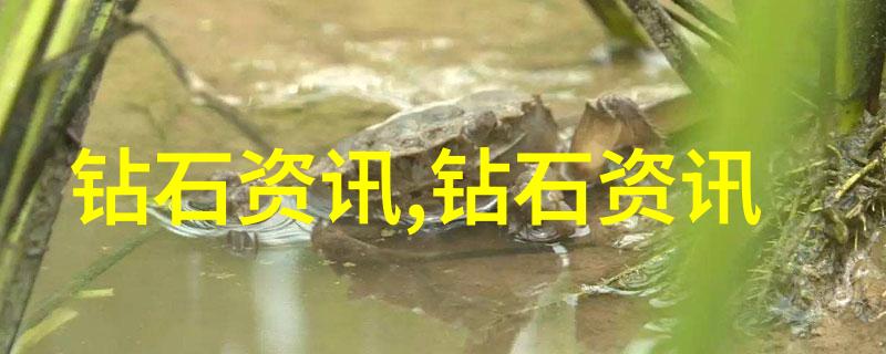 大禹治水记洪水之灾与治理英雄