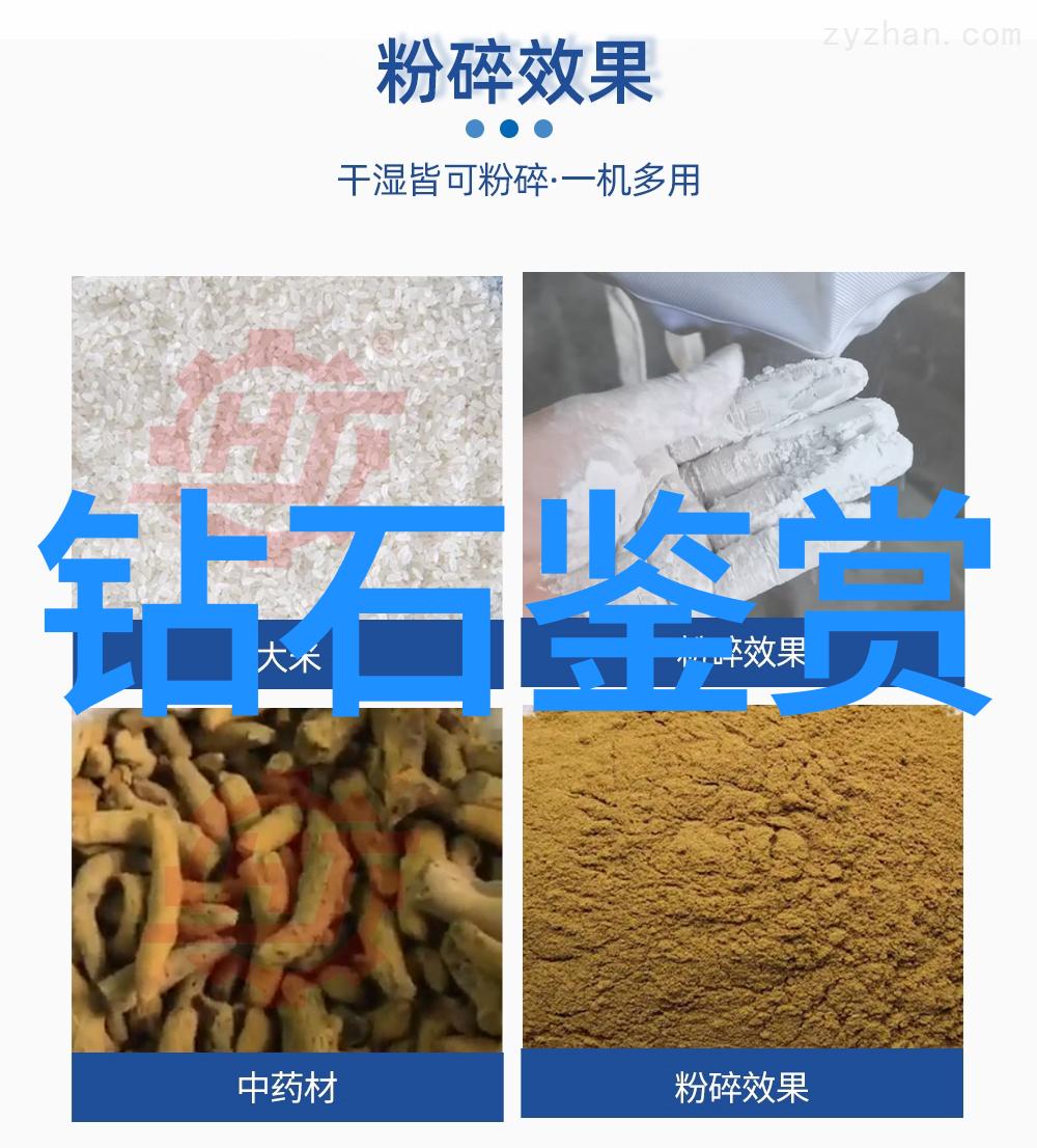 智能诊疗宠物医疗技术的未来趋势