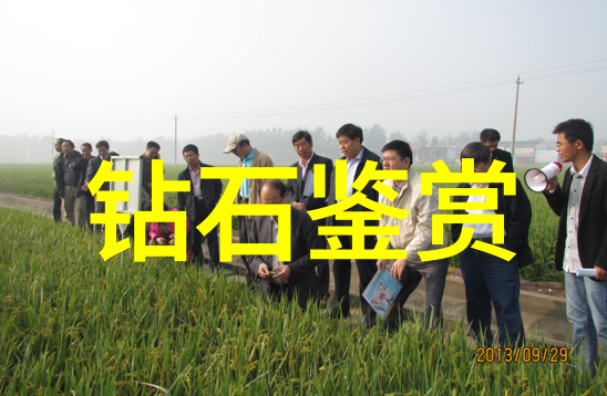如何鉴别翡翠证书的真伪老板你可以尝试这些建议