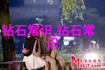 中西文化差异探讨东方哲学与西方理性对比分析