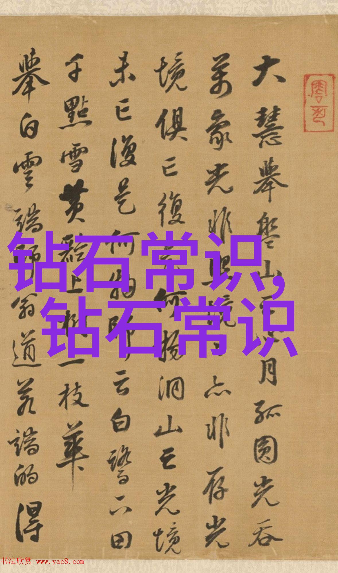 红帽子下的秘密探索传说中的森林深处