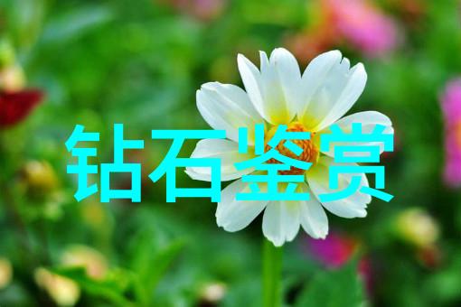 工商管理硕士开启商业智囊团的征程