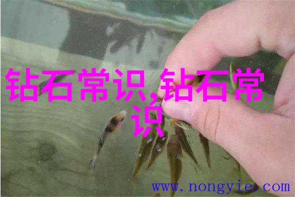 冰种翡翠鉴定指南揭秘青玉的真伪