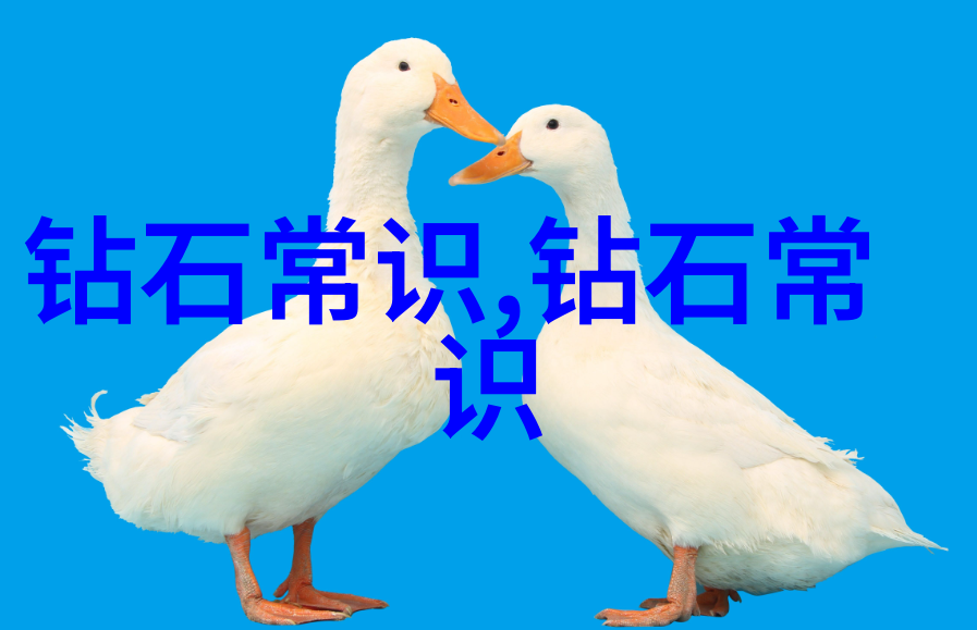 学科分类系统构建知识结构的理论与实践