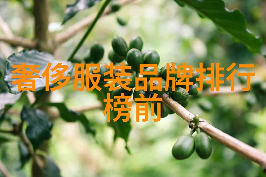 揭秘中国企业500强排名名单财富与力量的精英榜单