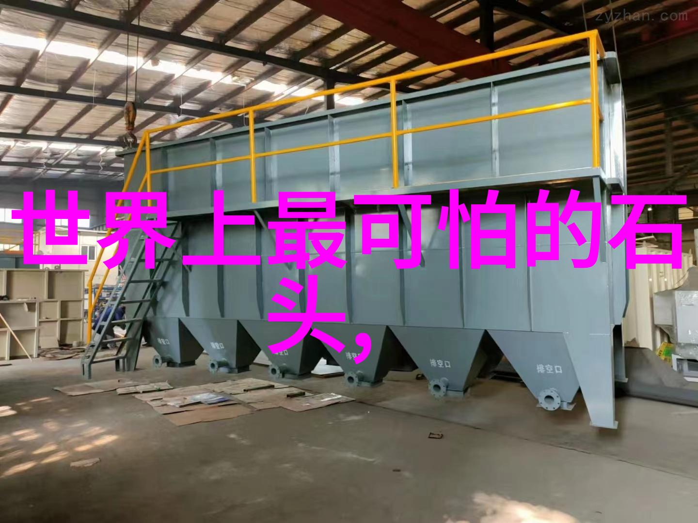 珊瑚绽放海底秘密的珠光链条