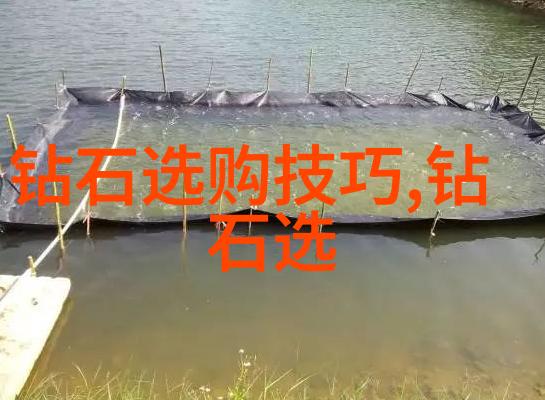 选择未来如何辨别一门专业的价值与前景